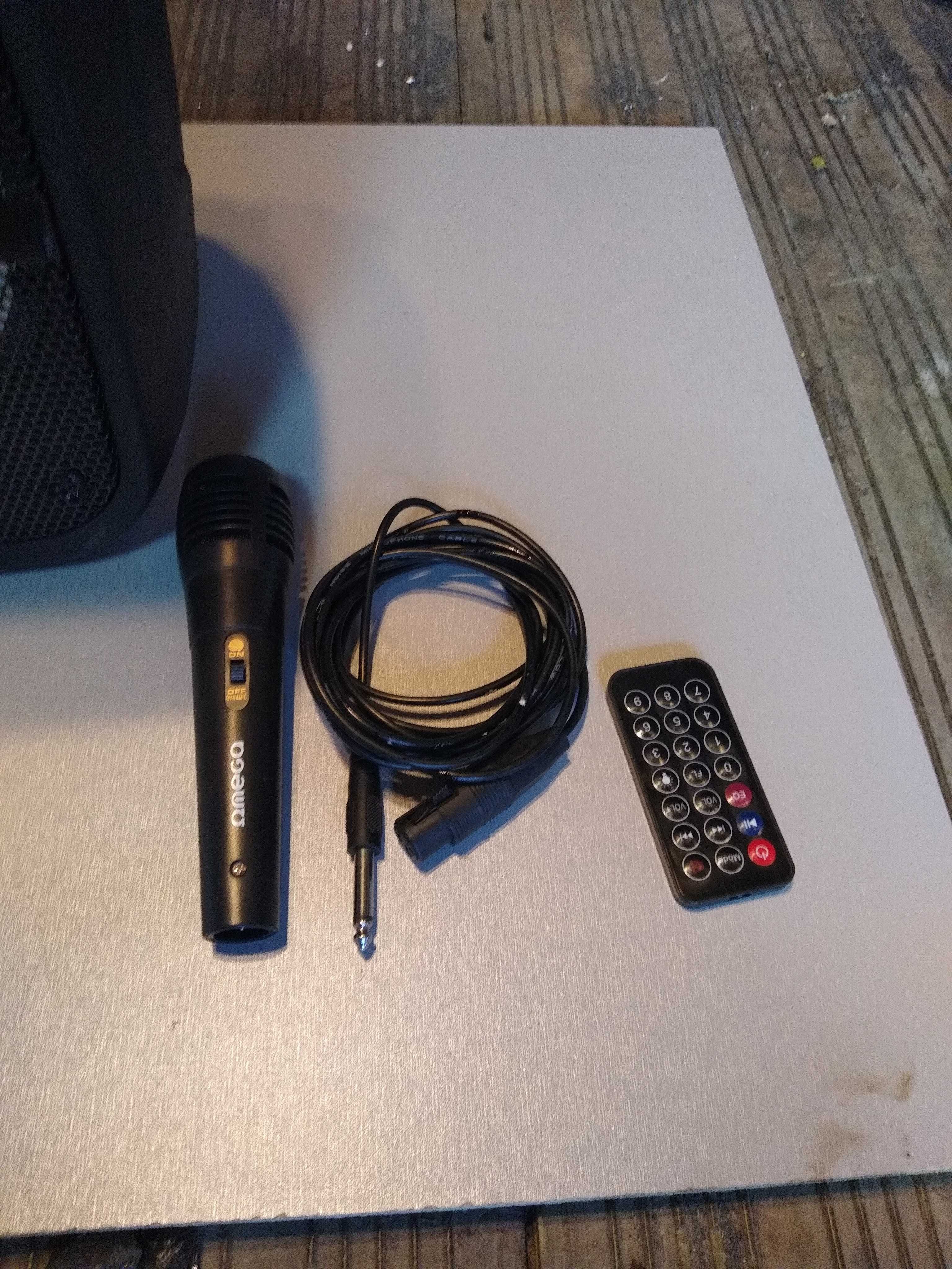 Głośnik bezprzewodowy Bluetooth z funkcją Karaoke oraz radiem