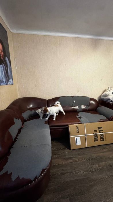 Безкоштовно Диван самовивіз Ірпінь
