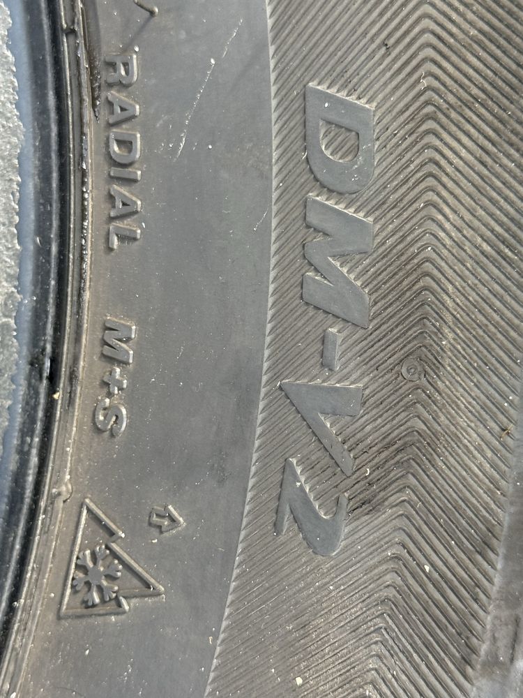 Гума/шини зимові R18 Bridgestone Blizzak DM-V2 235/55 R18 100T