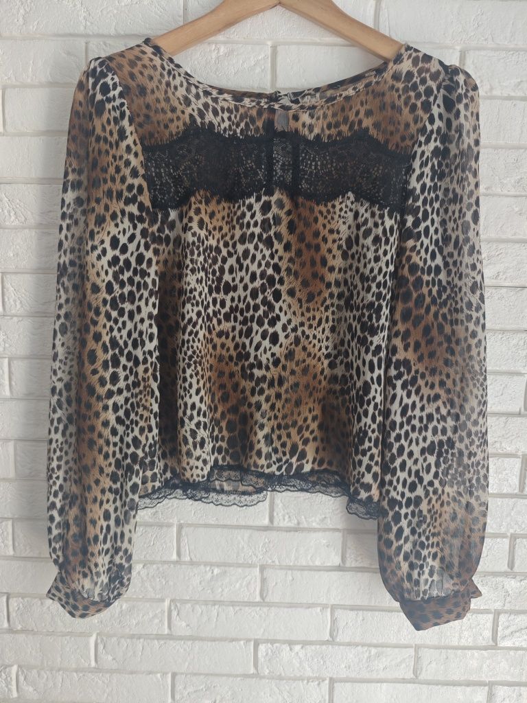 Bluzka damska w panterke