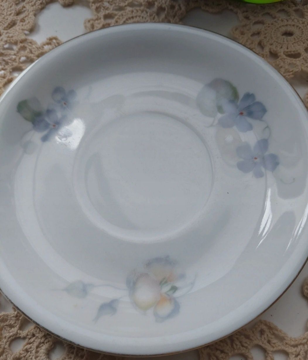 Thomas Rosenthal duo, filiżanka ze spodkiem, porcelana w kwiaty