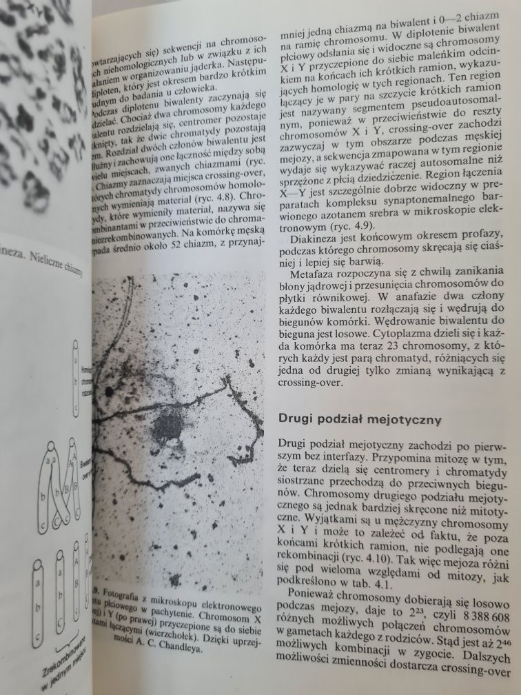 Podstawy genetyki medycznej - Książka