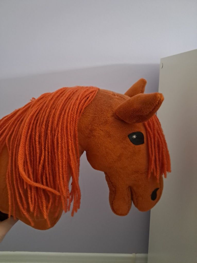 Hobby horse rudy