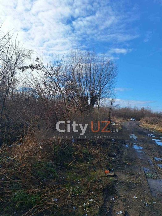 Продається земельна ділянка у с. Ярок