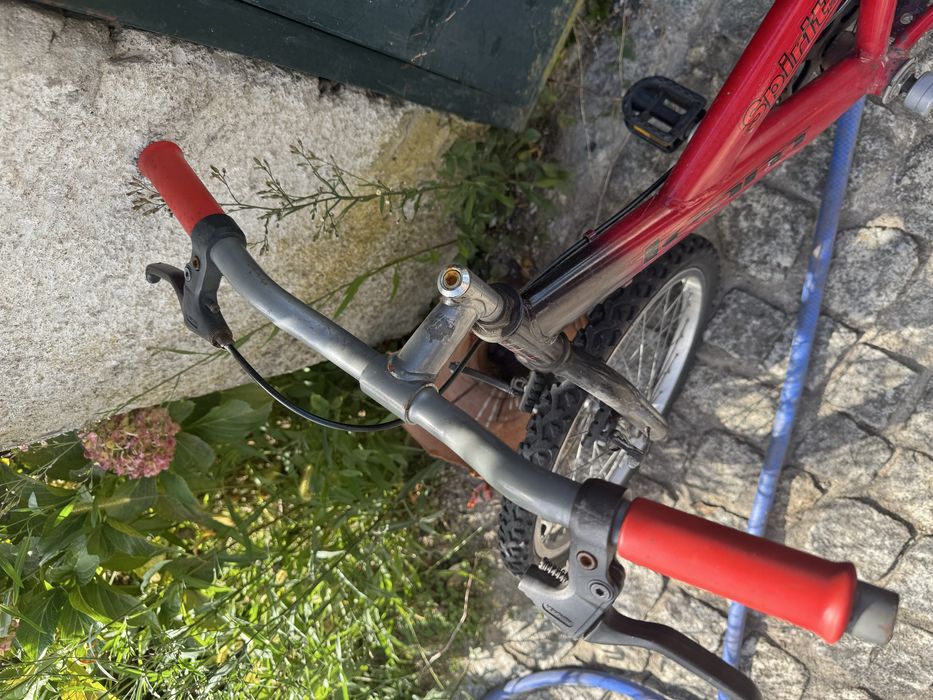 Bicleta de crianca