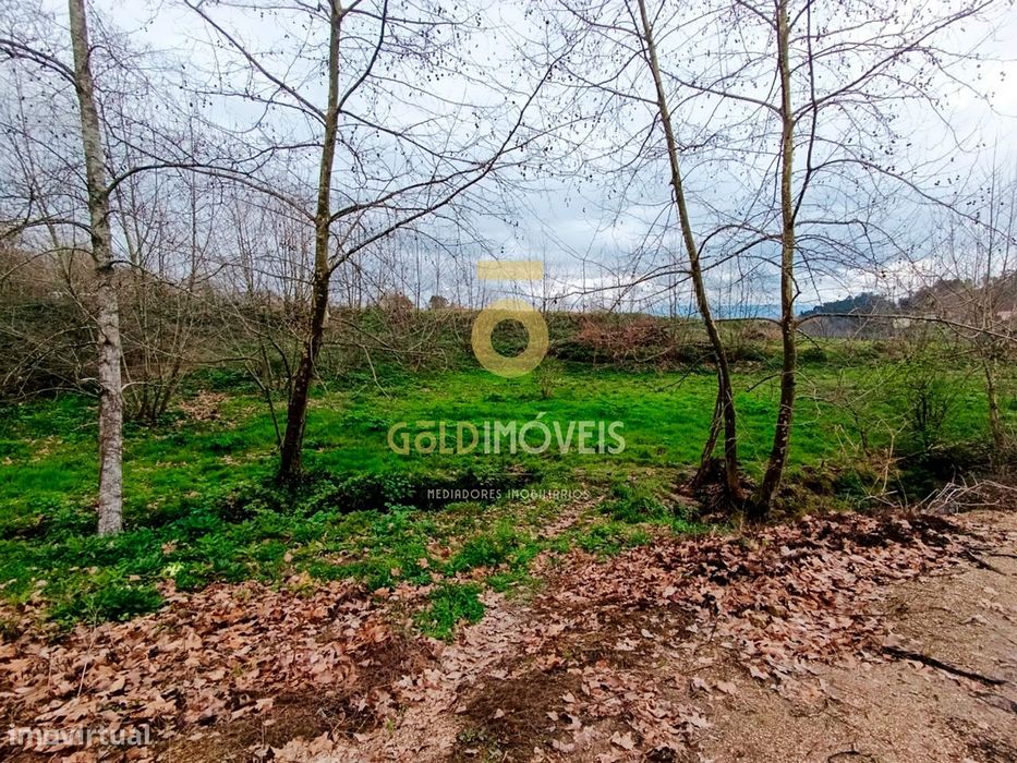 Terreno Rústico  Venda em Castelões,Penafiel