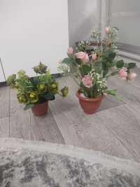 Декоративні троянди, вазони