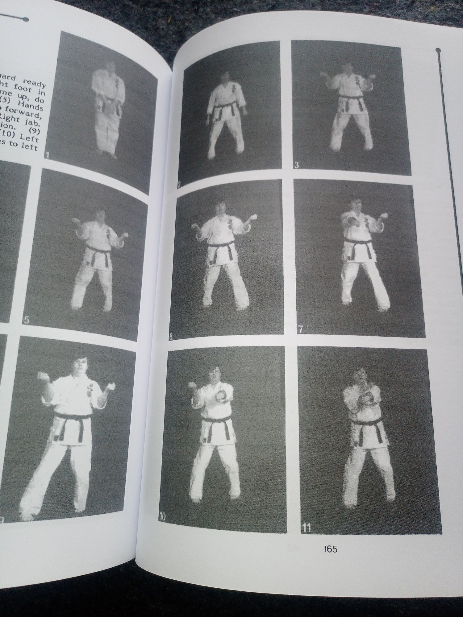 Traditional Goju ryu karate