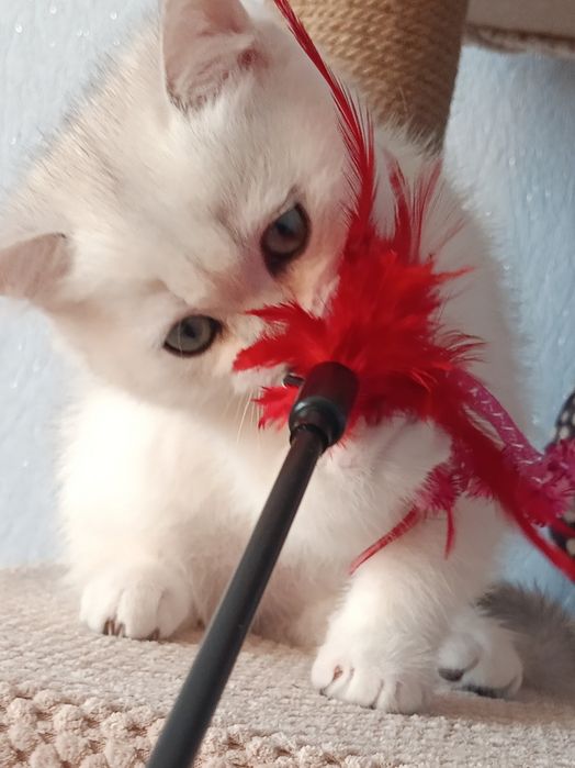 І буде Вам щастячко