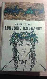 Lubuskie dziewanny Książka