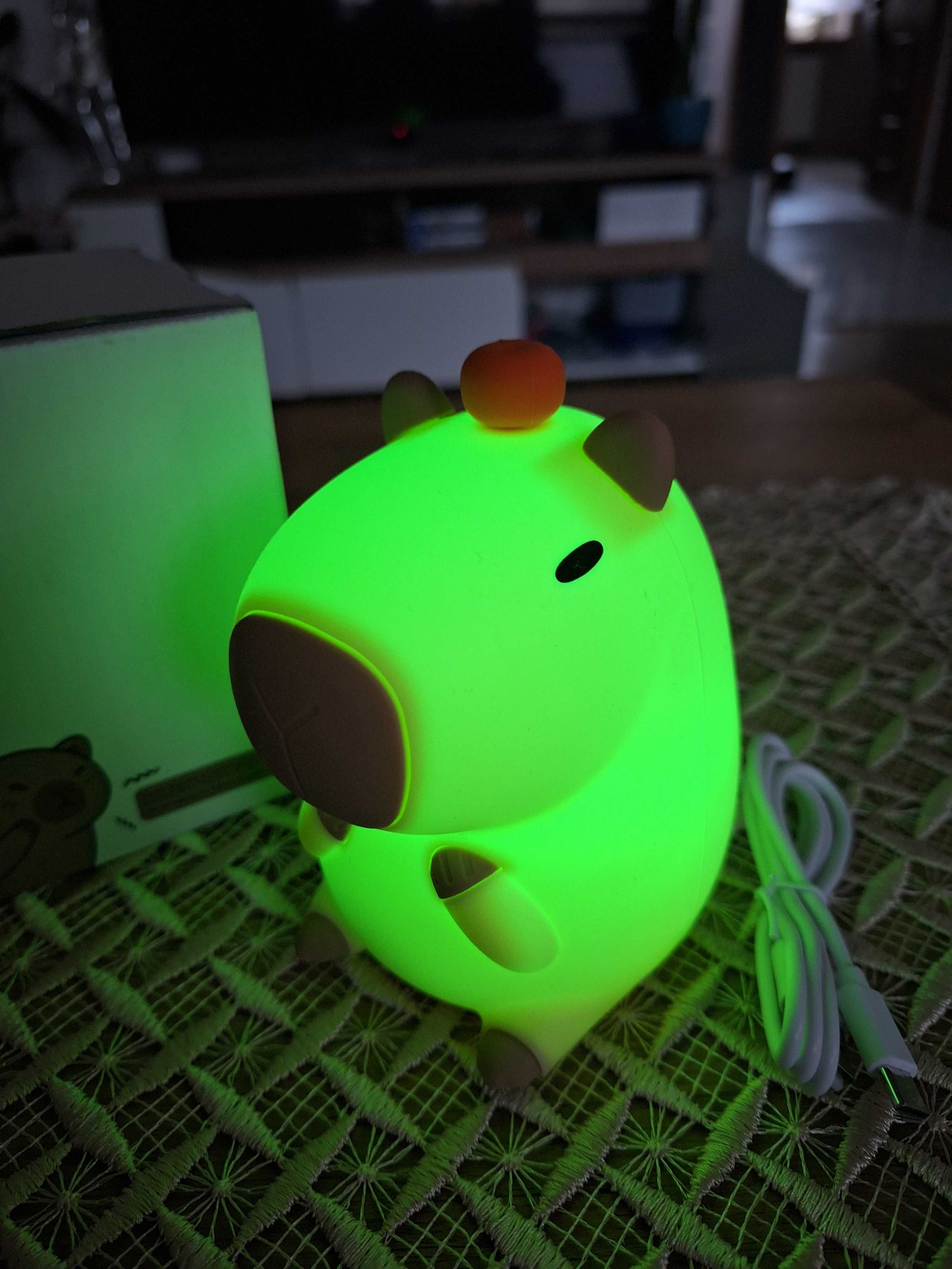 Lampka Capibara wielokolorowa