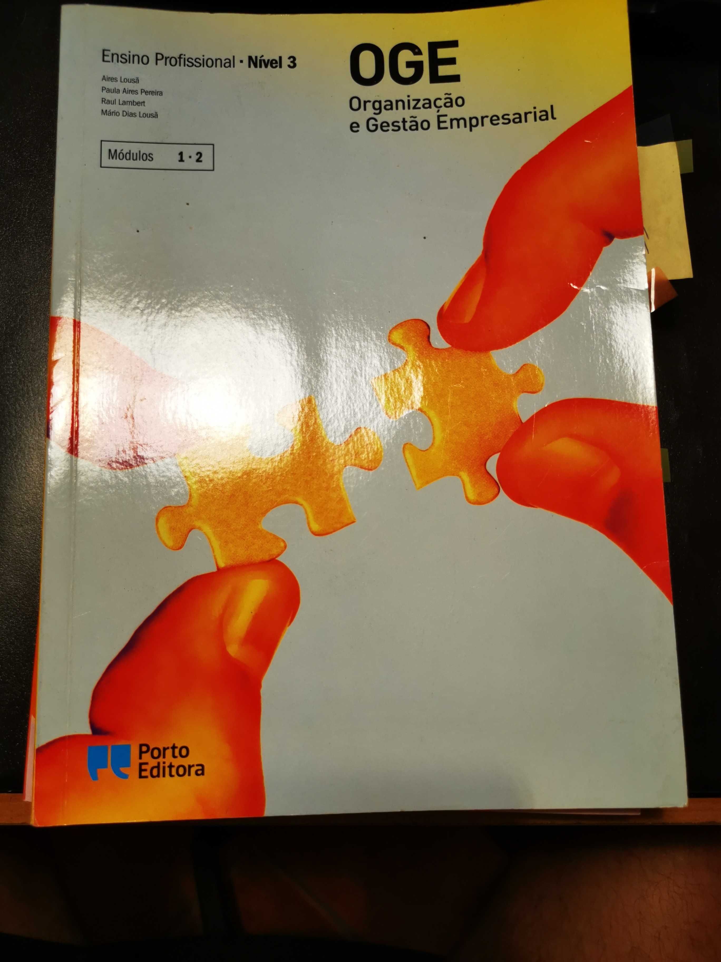 OGE - Organização e Gestão Empresarial - Ensino Profissional