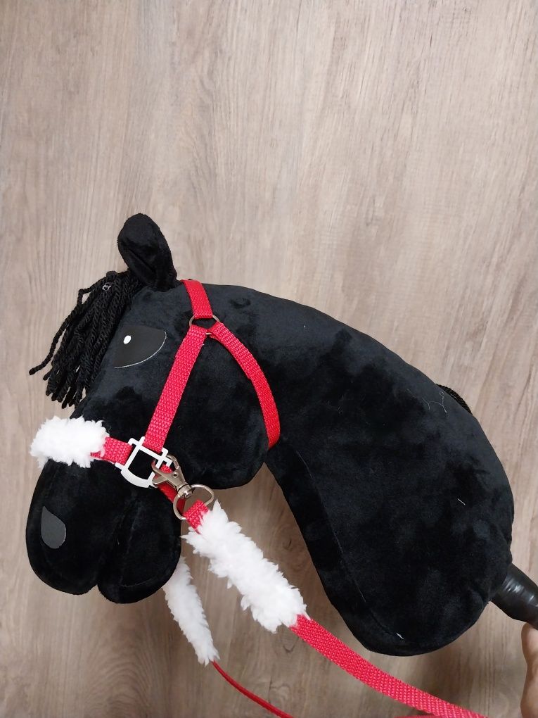 Konik hobby horse