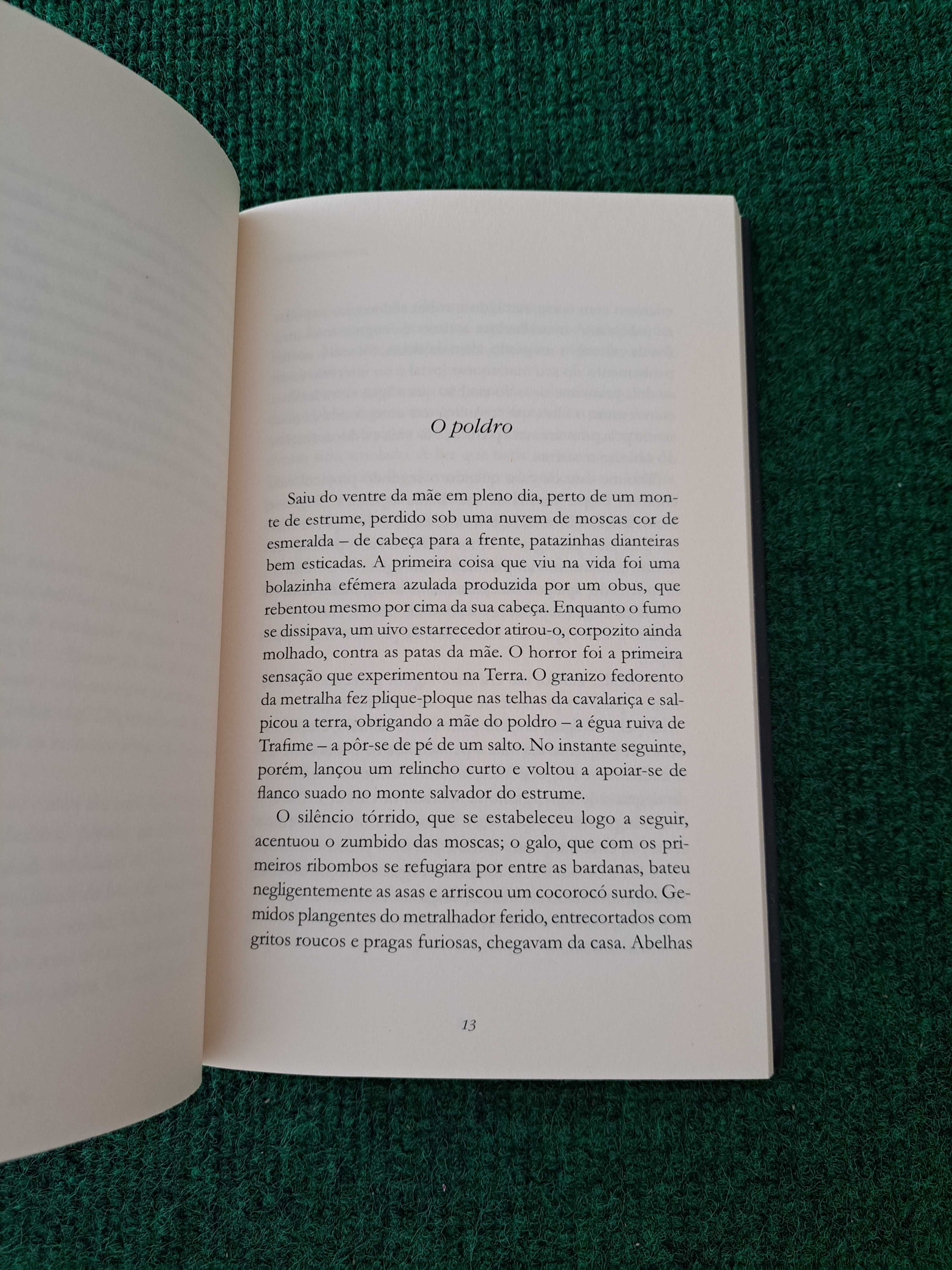 O Rio e a Guerra - Mikhail Cholokhov