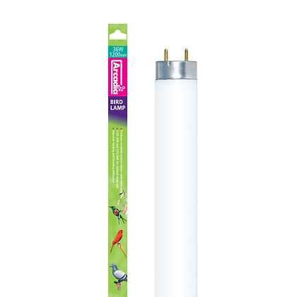 Arcadia Bird Lamp T8 2.4% Lampada UVB para passaros