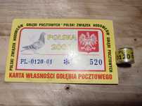 Obrączki dla gołębi pocztowych