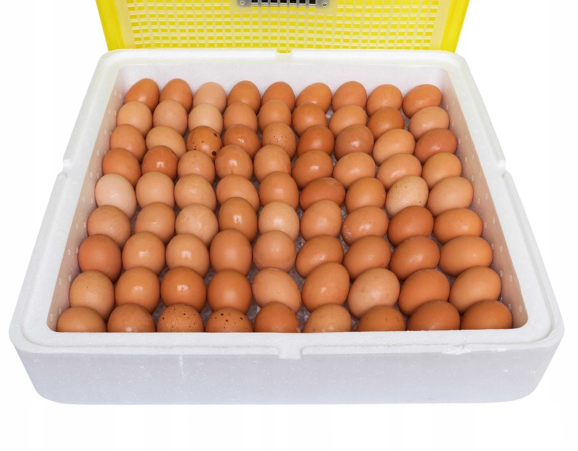 Inkubator na 88 jaj (klujnik wylęgarka)
