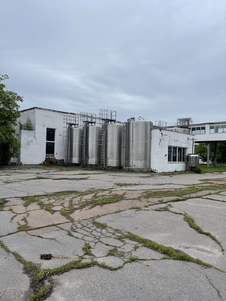 Завод цілісний майновий комплекс сироварний комбінат