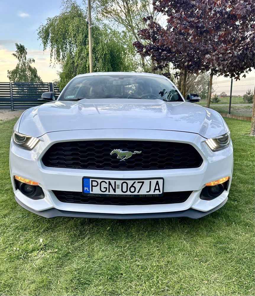 Wypozyczalnia aut Promocja wynajem Mustang Coupe okazja slub wesele