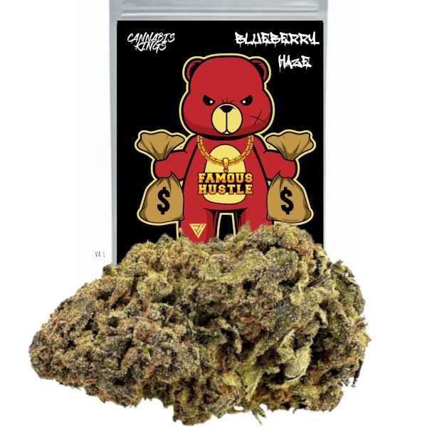 100G Susz BLUEBERRY Haze 49% Susz Konopny CBD MOC 100 GRAM KONOPIE