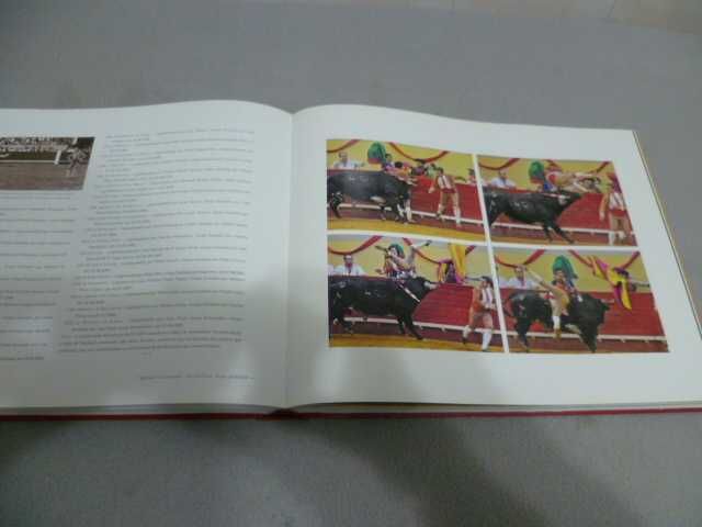 Tourada, Tradição Portuguesa - Manuel H. D. Heleno