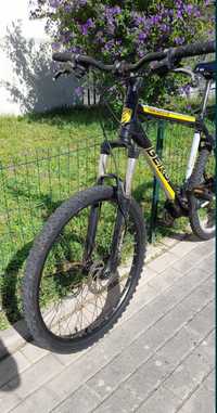 Bicicleta Berg Trail Rock LDt