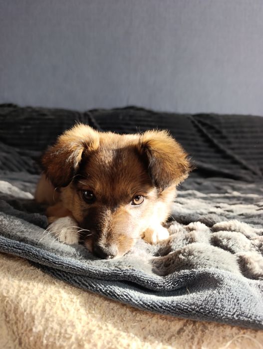 Шукає родину дівчинка