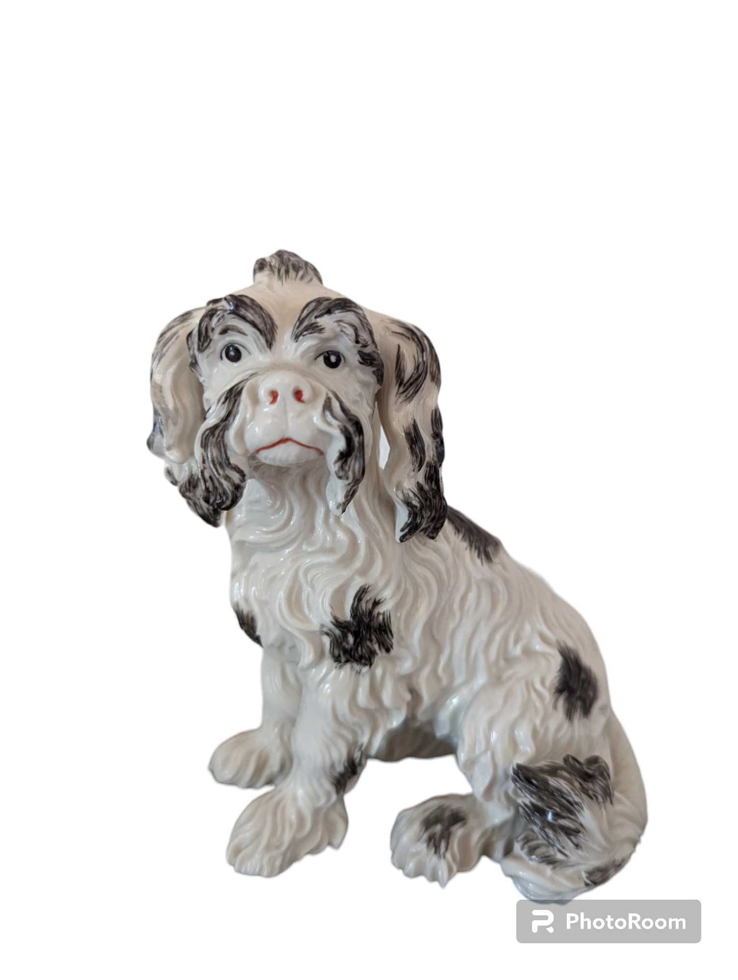 Nymphenburg Porcellan Spaniel dog