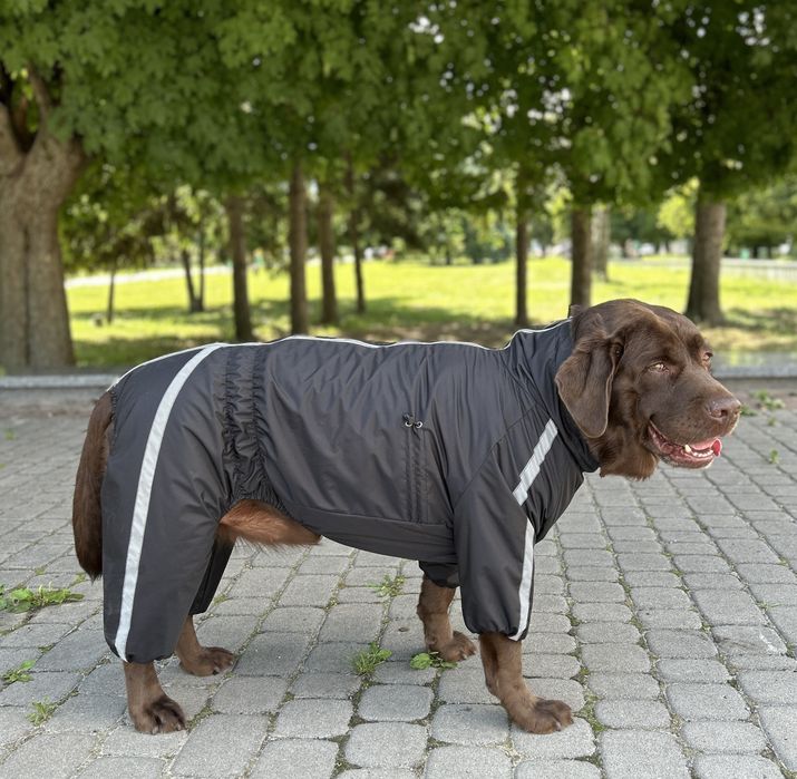 Теплий дощовик для собак одяг комбінезон