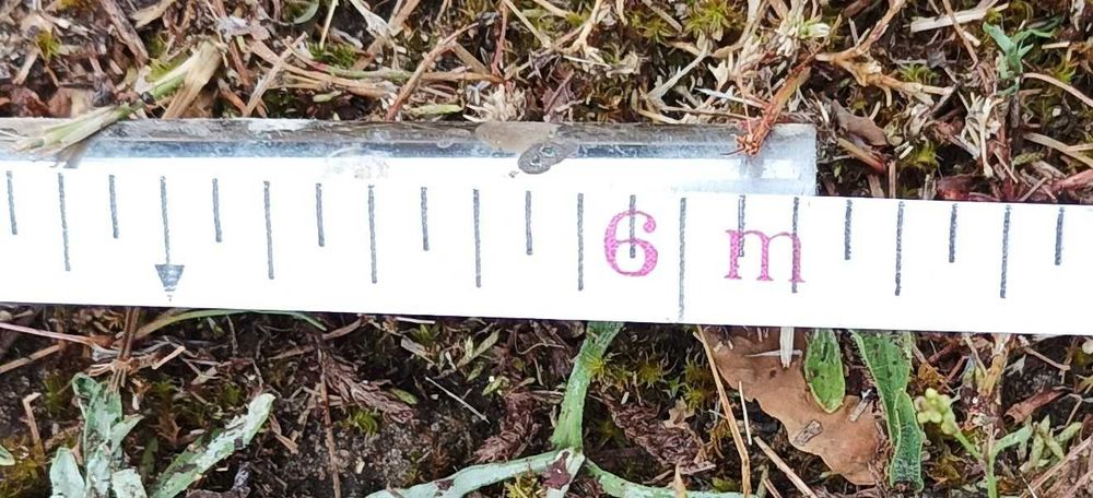 Rura kwasowa fi 20 szlifowana 6 m