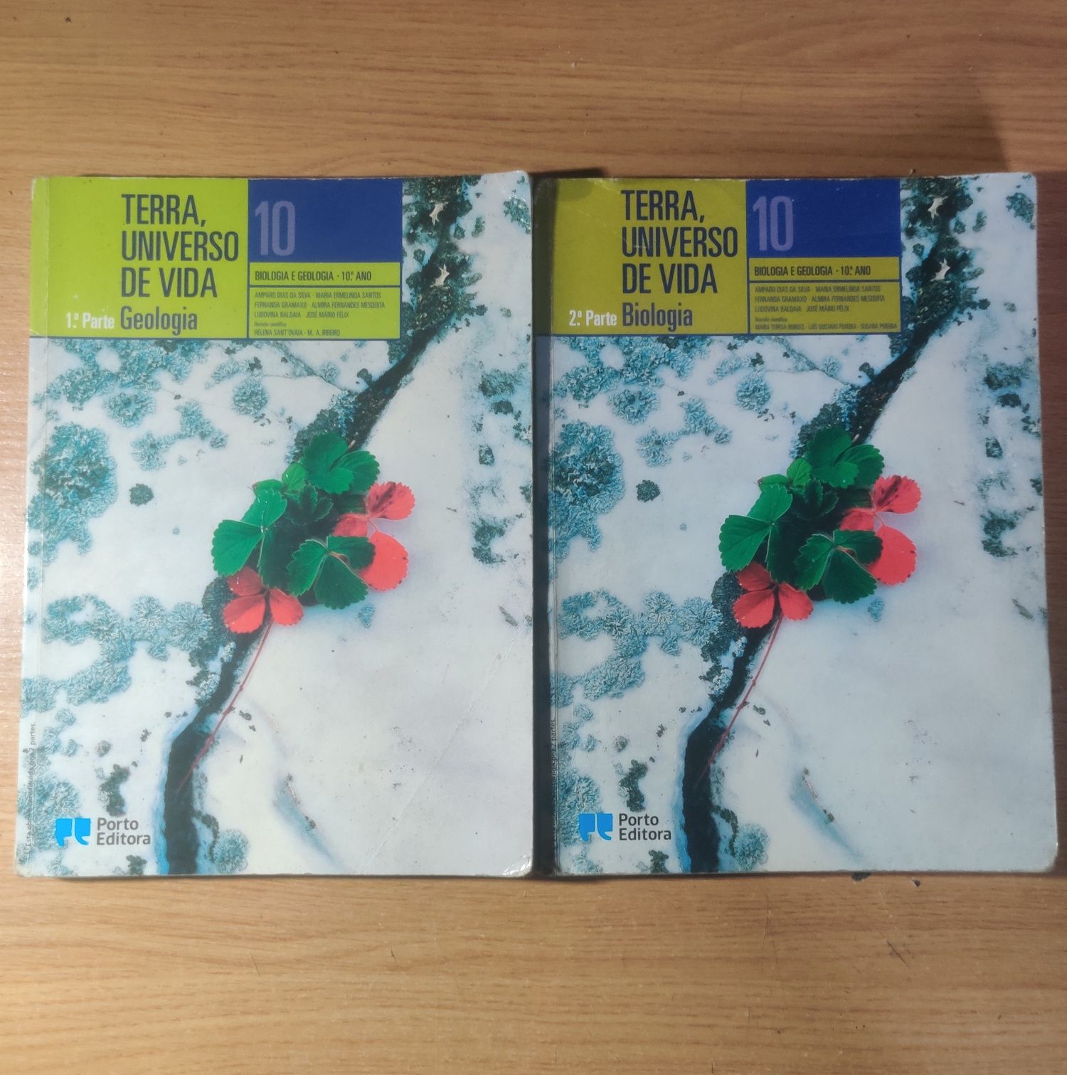 6 Livros de biologia  e geologia 10, 11 e 12 ano