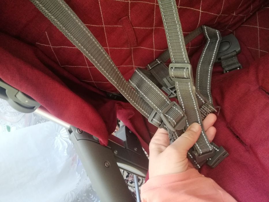 Коляска прогулянкова для дівчинки Carello Vista