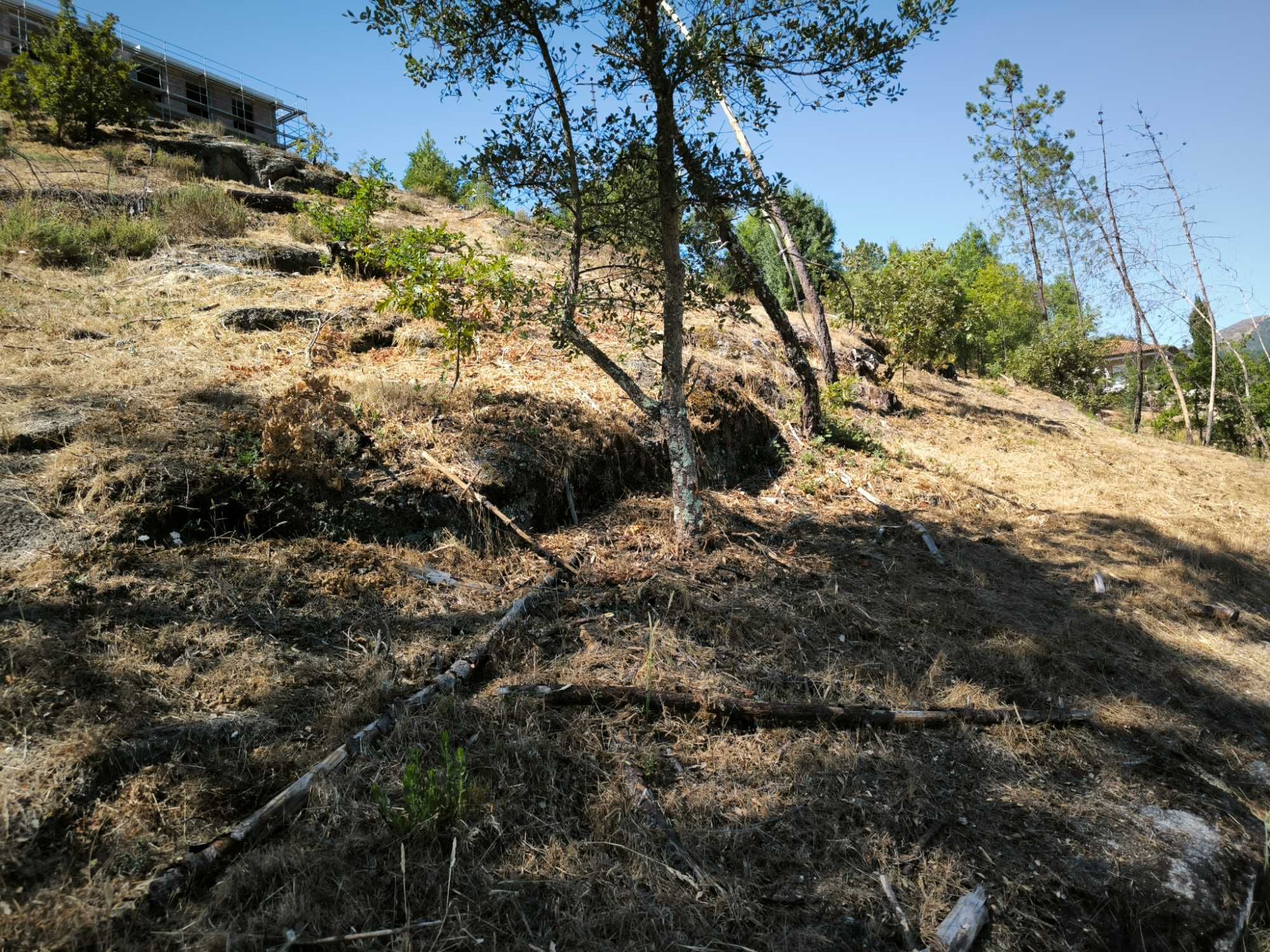Terreno para venda(construção), em Sanche, com 2736m2