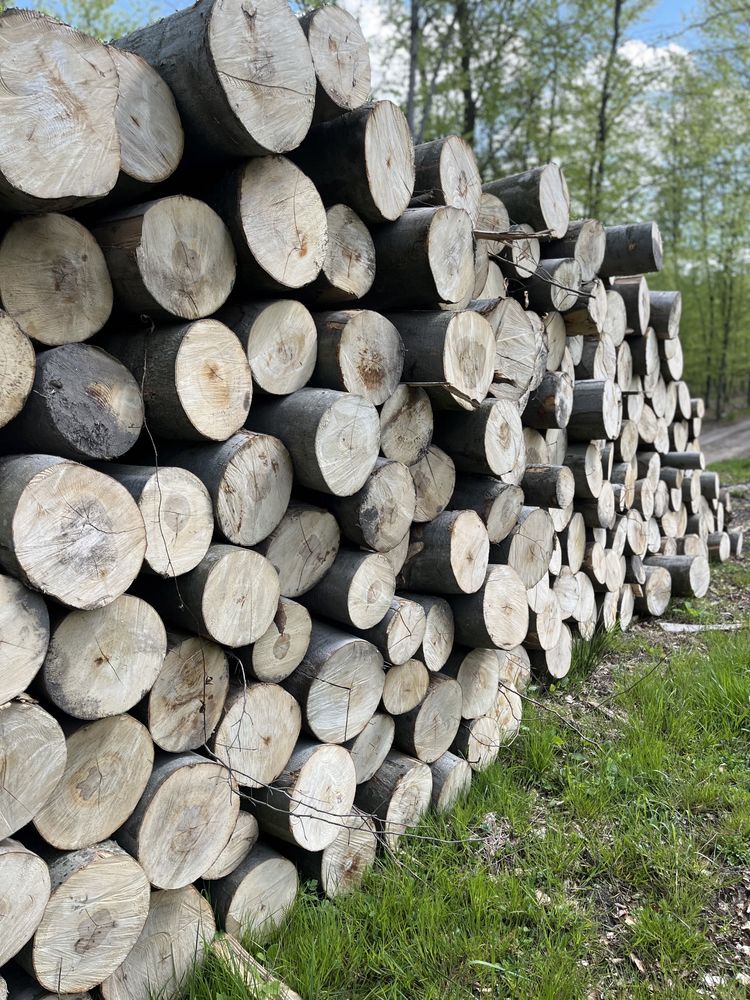 Sezonowane drewno opałowe / kominkowe liściaste , sosna