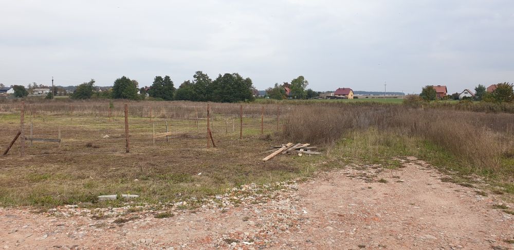 Ogrodzenie leśne budowlane tymczasowe siatka leśna budowlana GRATIS