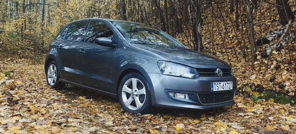 Volkswagen Polo 1.6 TDI 2010
