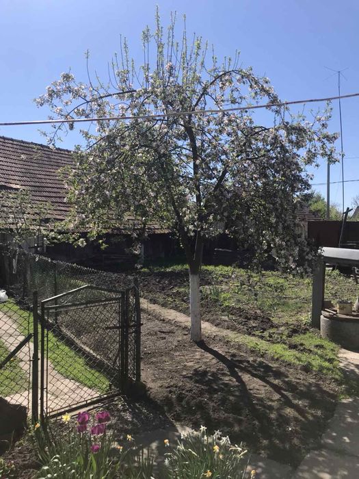 Продаж будинку у с.Буців , Мостищина