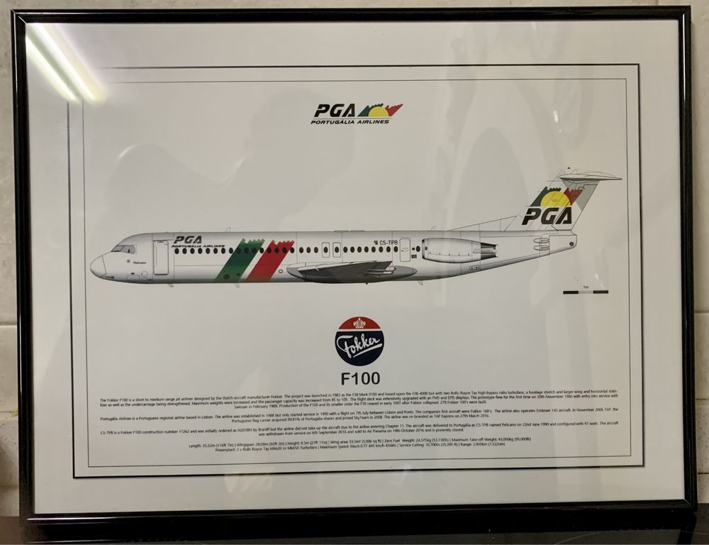 Quadro do Fokker da Portugália / Tap Air Portugal