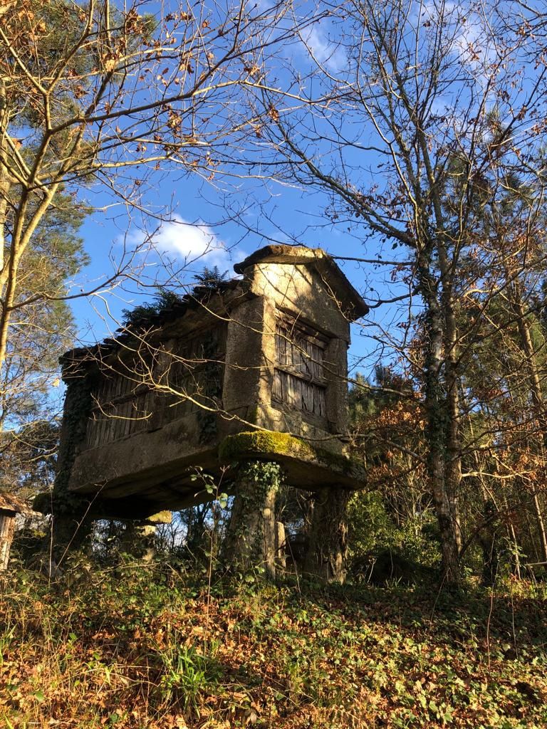 Espigueiro em Pedra Centenário