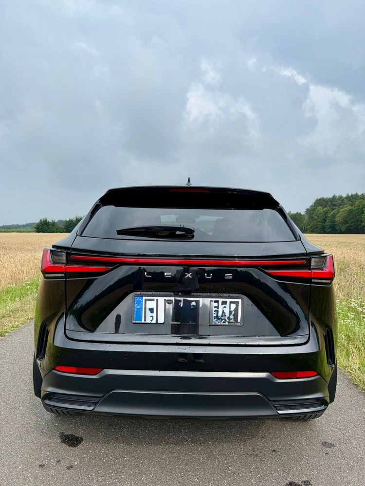 Lexus NX 250  2024