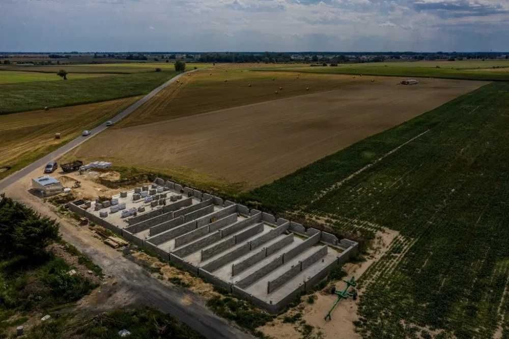 Budowa obory wolnostanowiskowej obora na rusztach mleczne jałówki