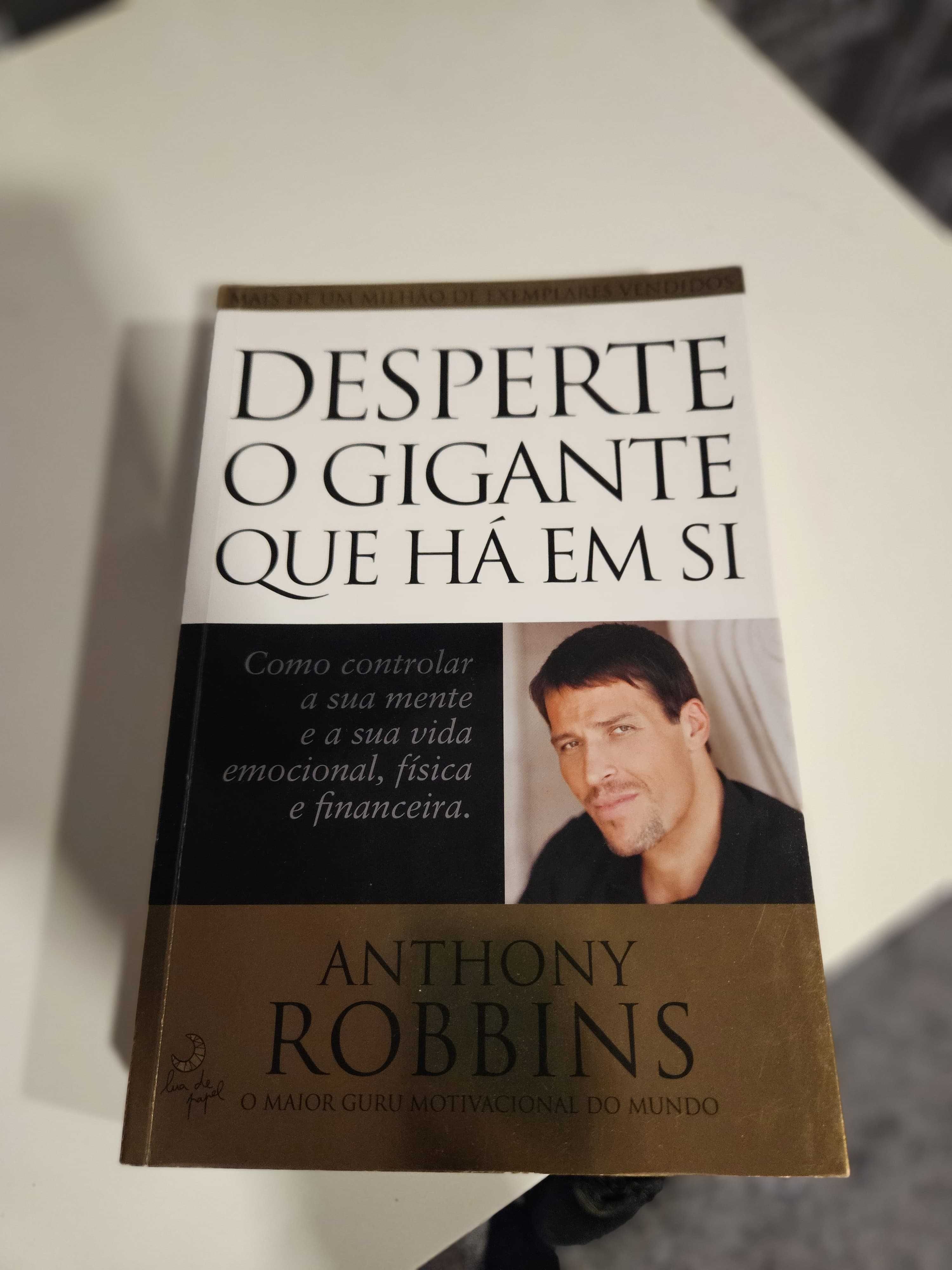 Desperte o Gigante que Há em Si - Livro Como Novo