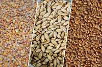 Кукуруза суха, 4000 пшениця 5000