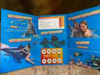 VIP CARD у дельфінарій