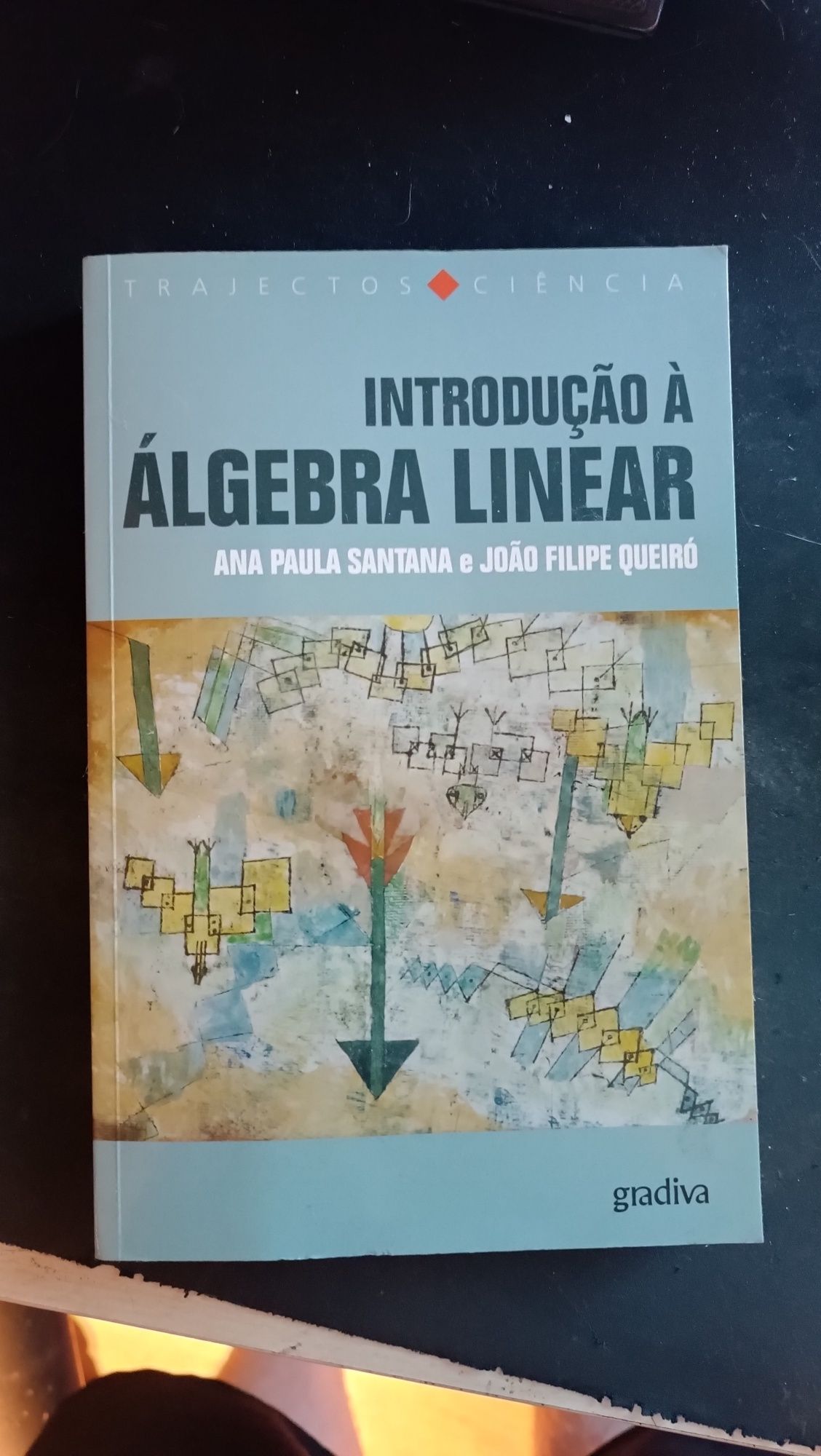 Livros de matemática, cálculo, álgebra linear