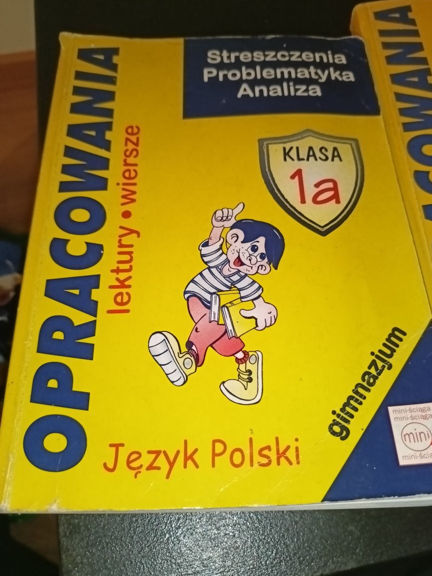 Opracowania lektur język polski