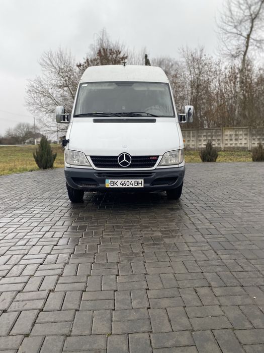 Спринтер спарка