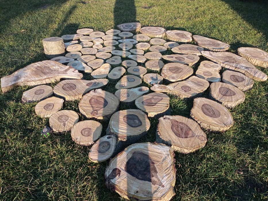 W drzewo orzech włoski plastry na stolik kawowy siedzisko podstawki