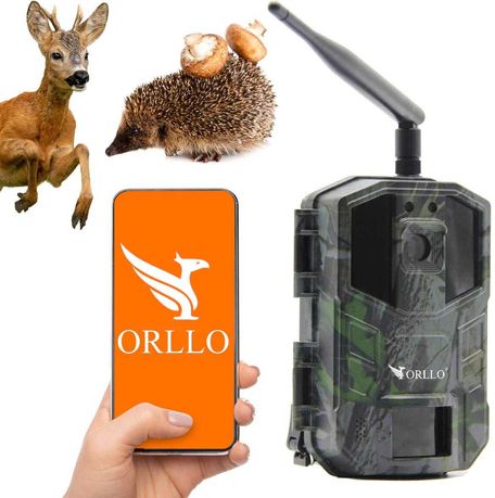 Fotopułapka GSM ORLLO Huntercam 3 Eltrox Opole