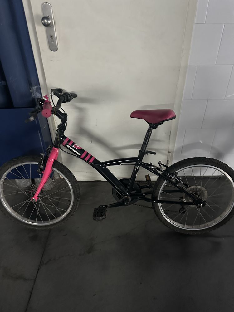 Bicicleta preta e coe de rosa